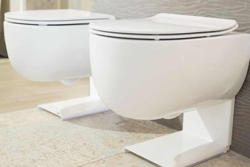 Toilet Seat Installation in Conroe, TX