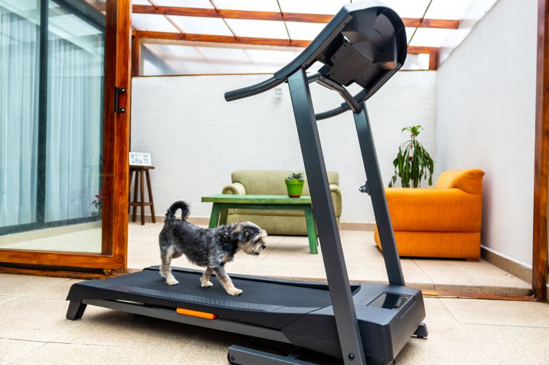 Treadmill Assembly and Repair