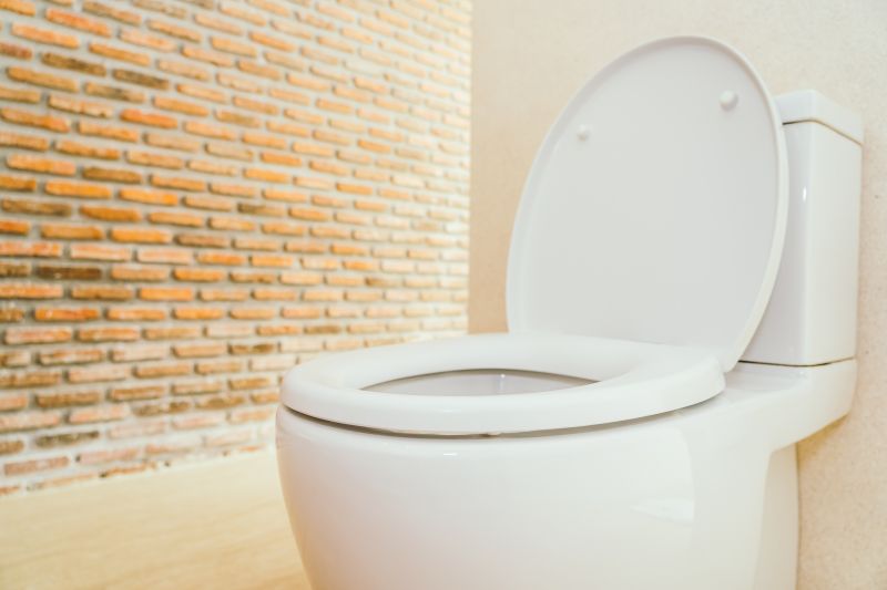 Toilet Seat Installation in Conroe, TX